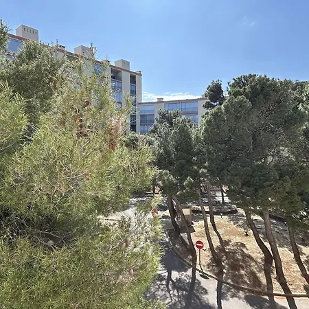 Apartment Renove 2 Pieces, Climatise, - Fr-1-225c-163